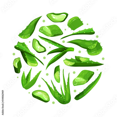 Aloe vera natural product seamless pattern of round shape. Organic eco cosmetic print for backdrop, packaging desgn vector