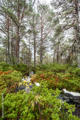 Hiking on the island of Sula, Norway