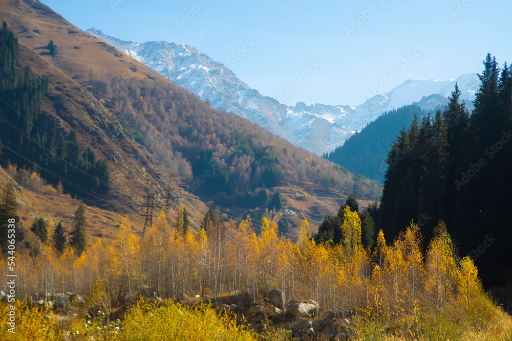 Mountain forest in beautiful autumn landscape. .Kazakhstan woods in fall