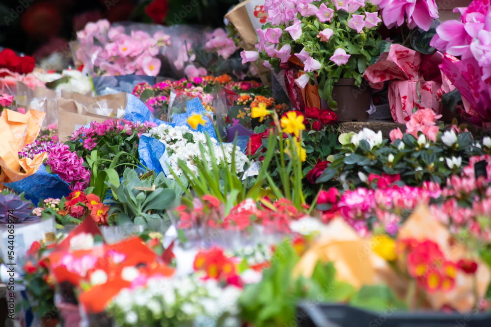 Large selection of different beautiful flowers on a flower stall in Europe