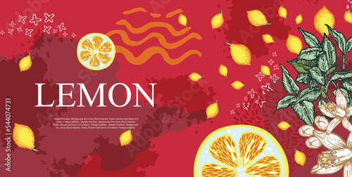 Lemon fruits, flowers and leaves. Culinary master class, studio, logo.