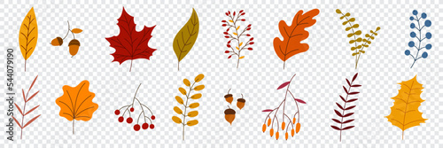 Hand drawn autumn collection with seasonal plants and leaves. Set of hand drawn plants, leaves, flowers. Colorful of natural elements for seasonal backgrounds. Vector illustration
