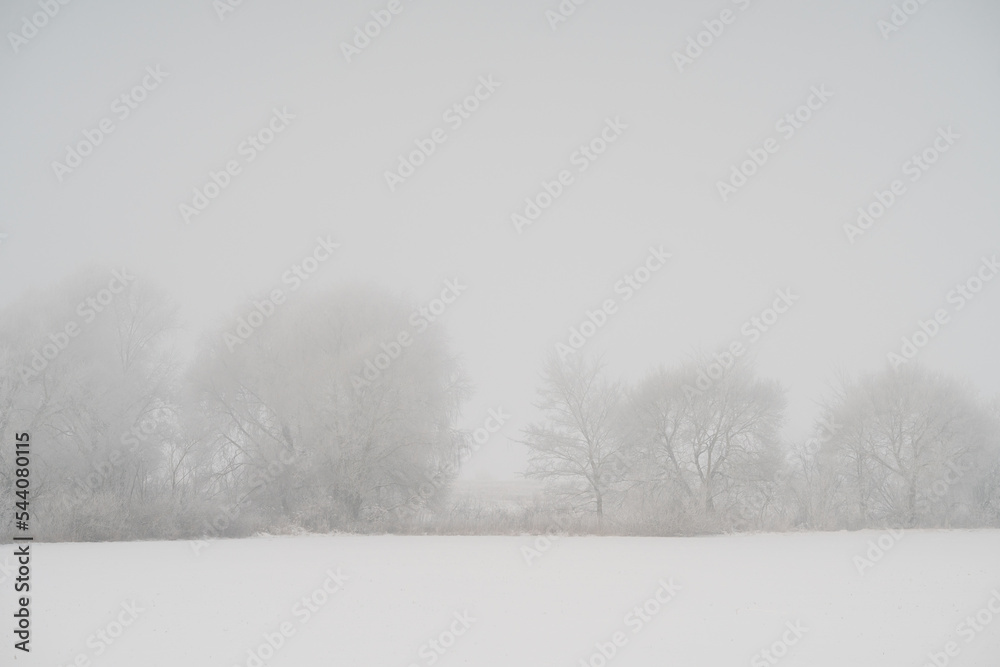 Obraz premium snowstorm in the forest