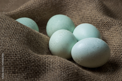 Organic blue eggs on burlap. Varieties of chicken eggs photo