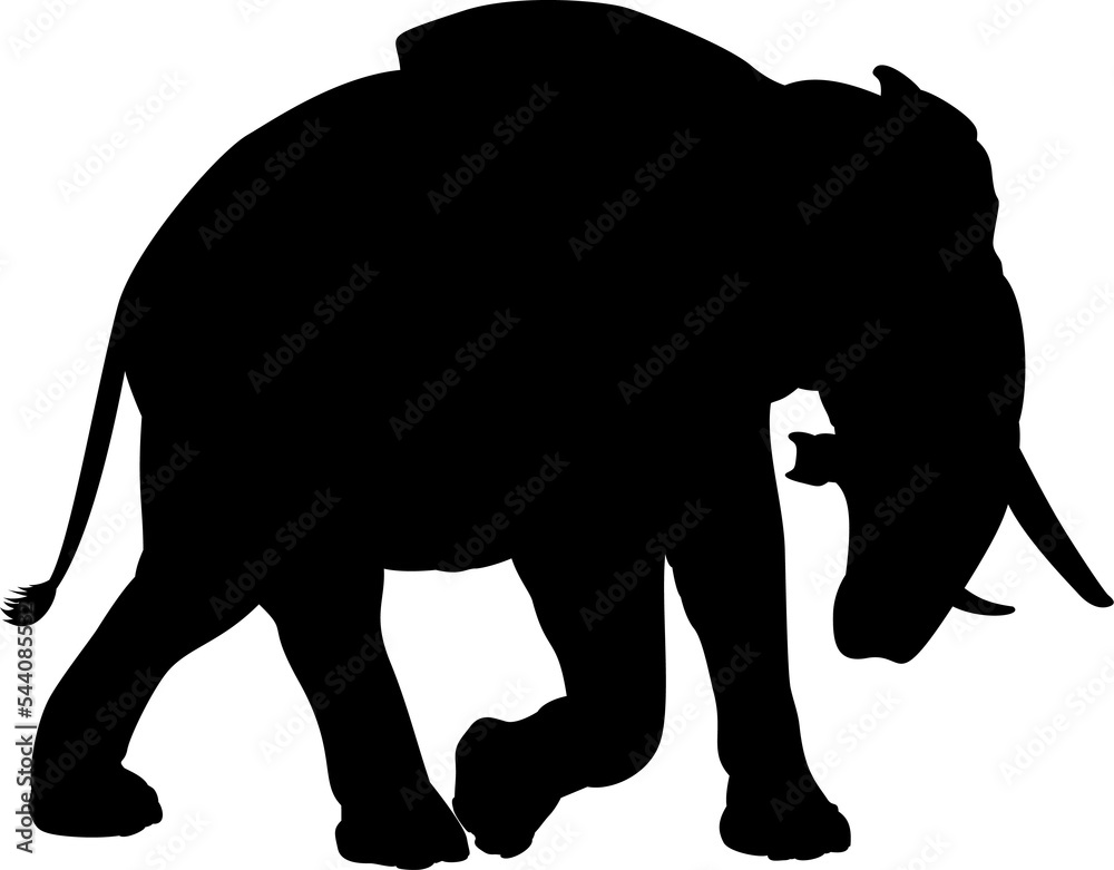 Elephant Safari Animal Silhouette Stock Illustration | Adobe Stock