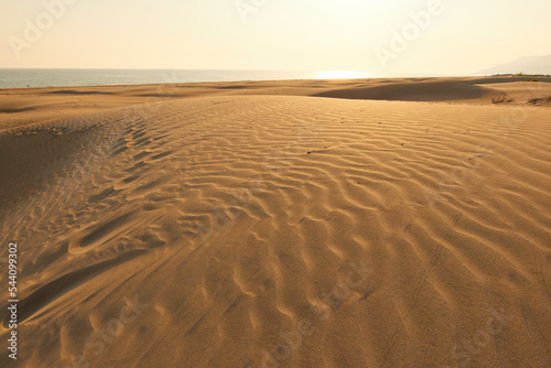 A beautiful sand texture. A wavy desert background. A sand dune backdrop