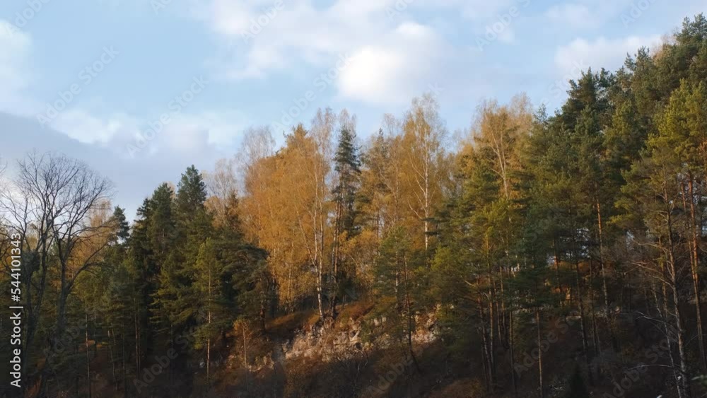 Birches with yellow leaves and green pines and firs grow on rock at sunset illuminated by sun. Autumn nature of central Russia. Effect of distance. 4K slow motion footage. Birches with yellow leaves and green pines and firs grow on rock at sunset illuminated by sun. Autumn nature of central Russia. Effect of distance. 4K slow motion footage.