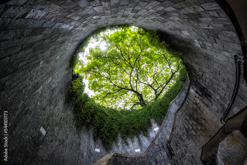 fort canning tree tunnel