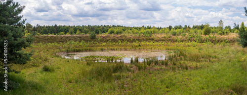 Panorama of a circular lake in a nature reserve