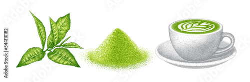 Matcha tea set. Branch of green tea leaves, powder, cup of latte. Stages of creating Japanese traditional beverage. Hand-drawn vector illustration.