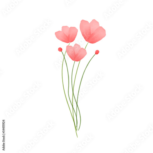 Watercolor painting poppy flower. Isolated flowers on white background. Bouquet red poppy flower painting. Hand painted watercolor floral, flower background.

