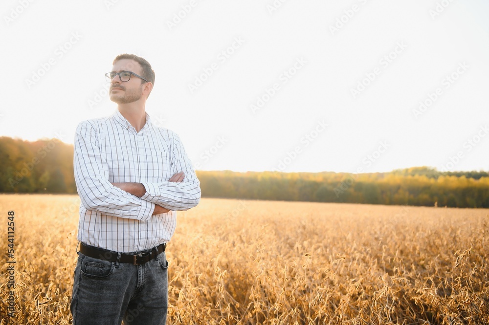 Agronomist inspects soybean crop in agricultural field - Agro concept - farmer in soybean plantation on farm Agronomist inspects soybean crop in agricultural field - Agro concept - farmer in soybean plantation on farm