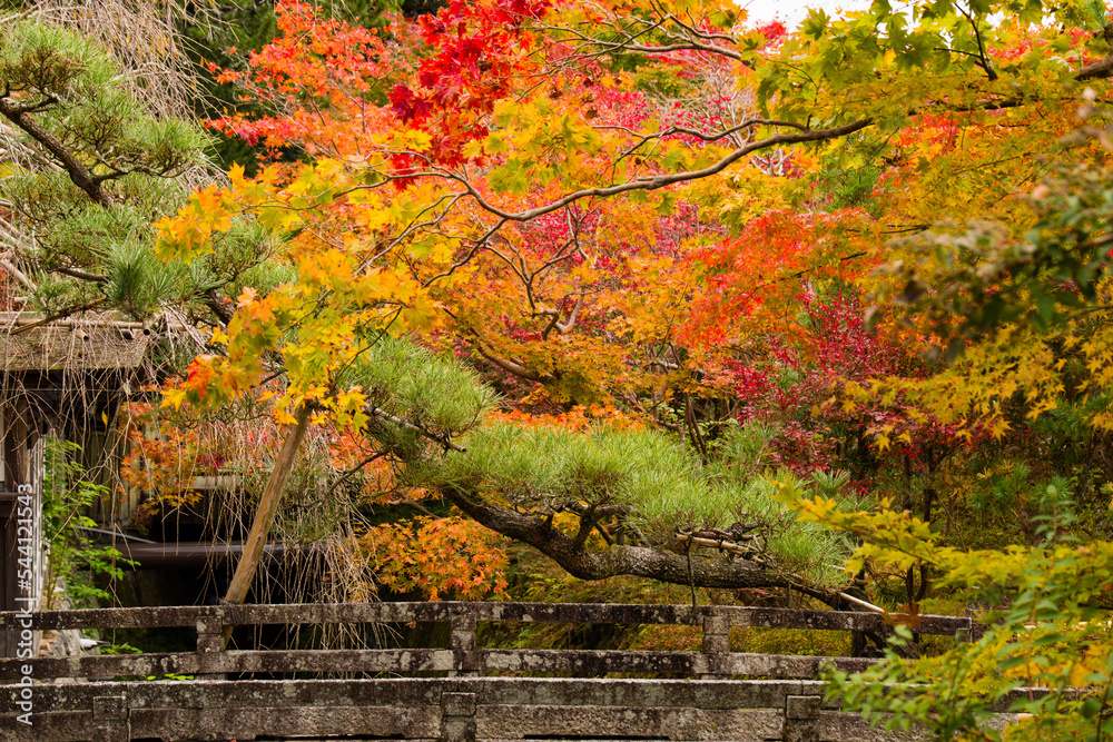 高野山の秋風景