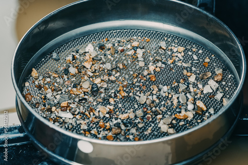 Sorting and picking of stones and pebbles in sieve at archaeological excavations or at the extraction of gold and other minerals at the prospecting site
