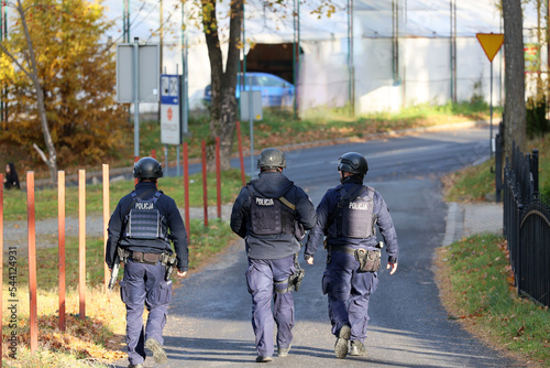 Polska policja na zabezpieczeniu zgromadzenia publicznego