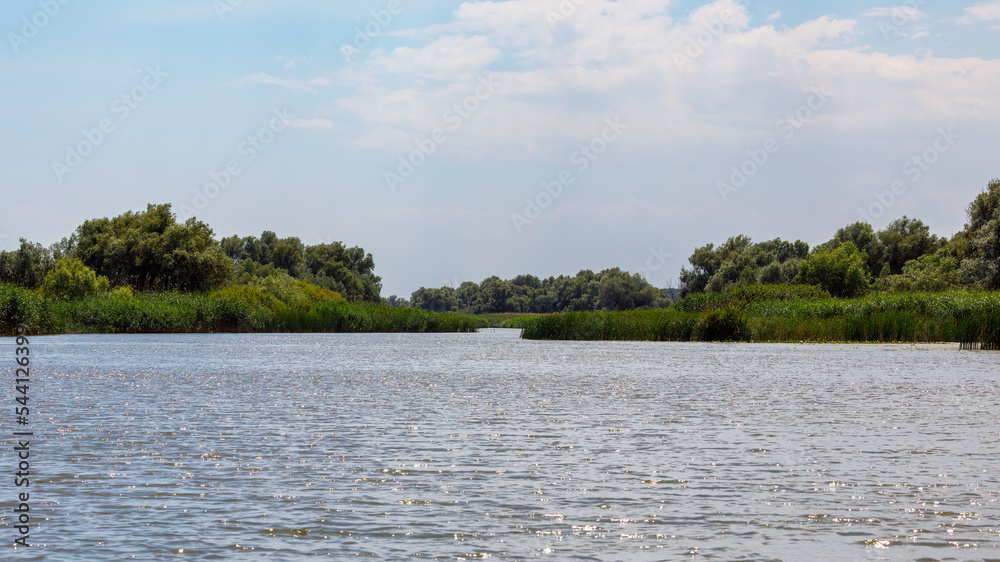 The swamps and wilderness of the Danube Delta in Romania
The swamps and wilderness of the Danube Delta in Romania