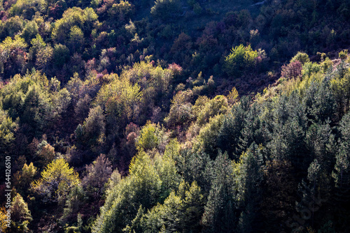 the colors of autumn in the Majella National Park. Abruzzo, Italy