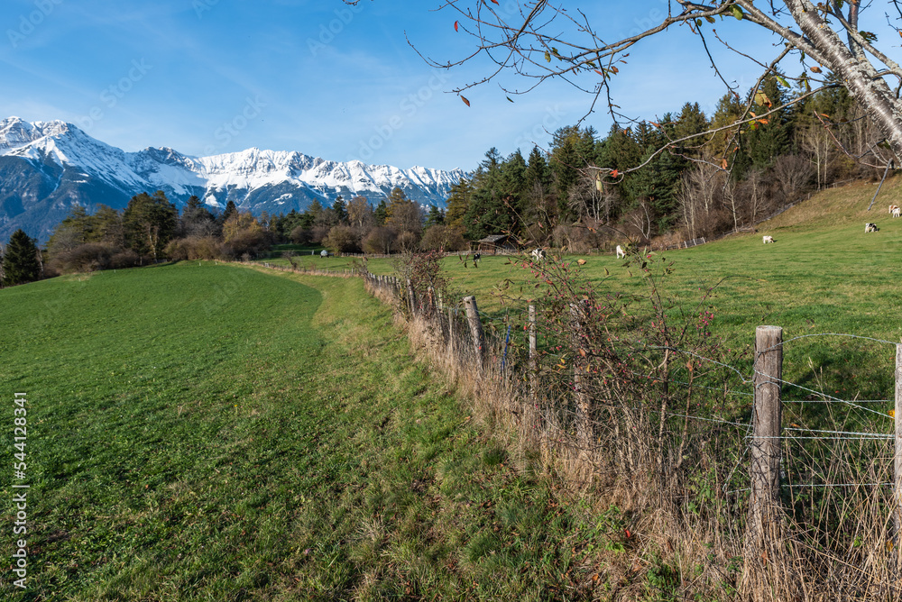 Feld, Wiese, Wald und Zaun in Patsch bei Innsbruck
