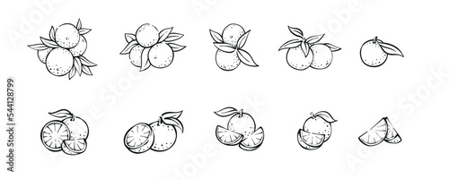 Hand drawn orange set collection fruit illustration vector design fresh orange slices with leaves