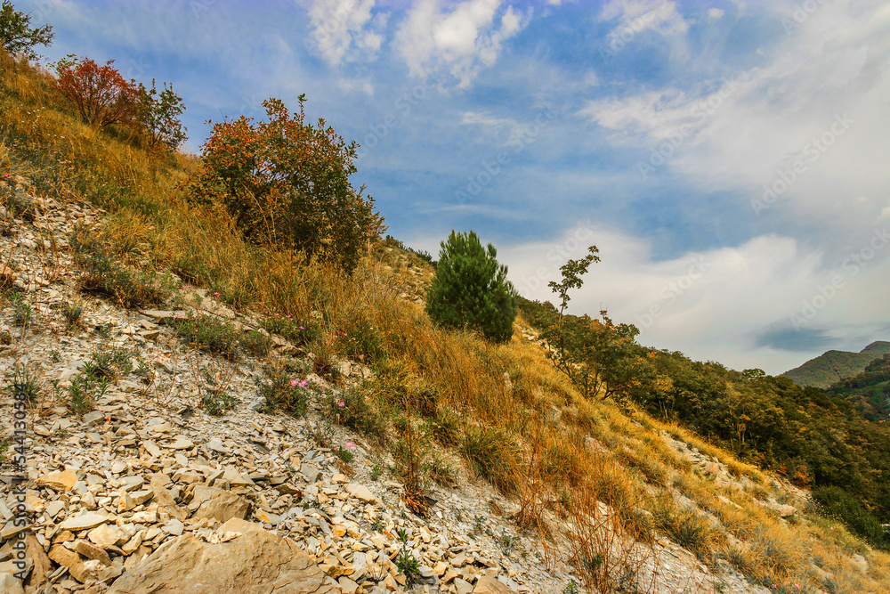 The slope of the mountain against the sky. A rocky mountain slope with dry vegetation on a sunny autumn day. Autumn grass, bushes and trees cover the mountain range against the blue sky. Beautiful pic