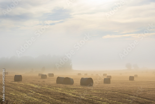 Morning light on a misty field with bales