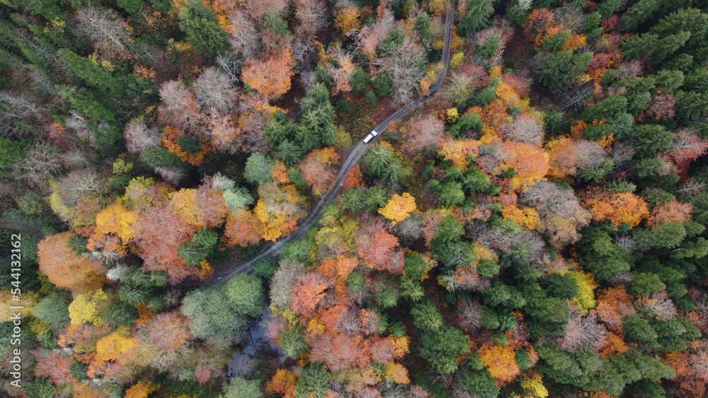 Car is riding inside the autumn forest Car is riding inside the autumn forest