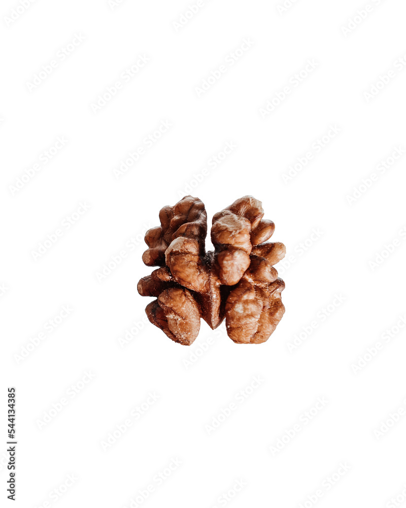 walnut in the skin on an isolated background walnut in the skin on an isolated background