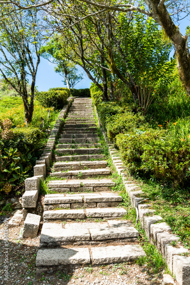 The stone stairs footpath passes through the green trees in the park.