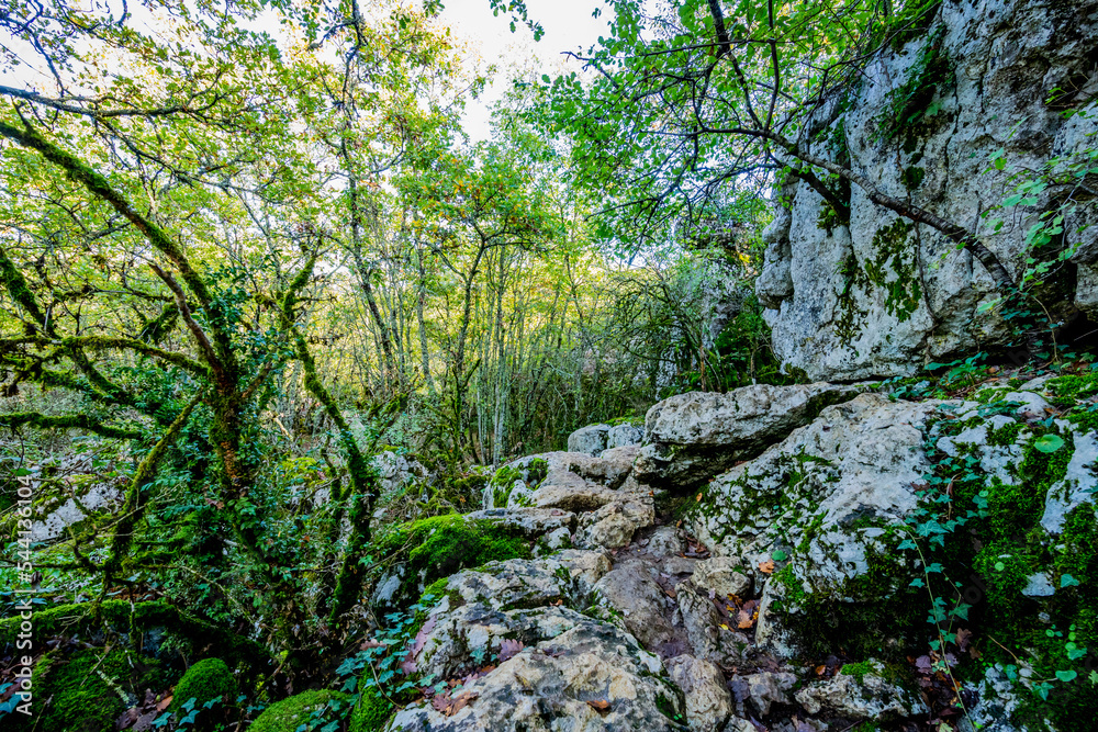 Le Bois De Païolive en Ardèche Le Bois De Païolive en Ardèche