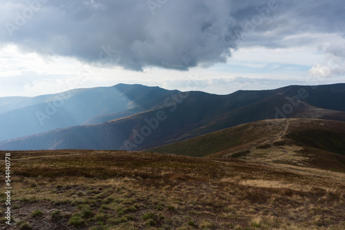 Beautiful view of the carpathian moun landscape with green meadows, trees, dark low clouds on the mountains in the background. travel destinations.