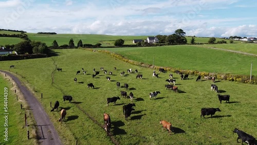 A herd in a fenced farmers field in Ireland, top view. Countryside under a beautiful sky. Irish landscape, drone video. photo