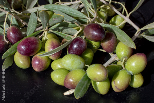 Aceitunas picual photo