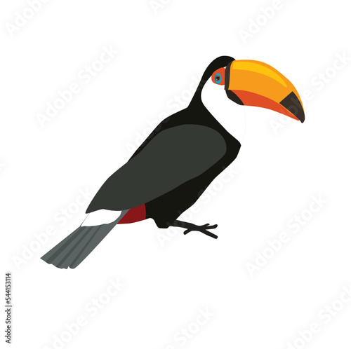 Vector tropical bird. Toucan. Brazilian bird.