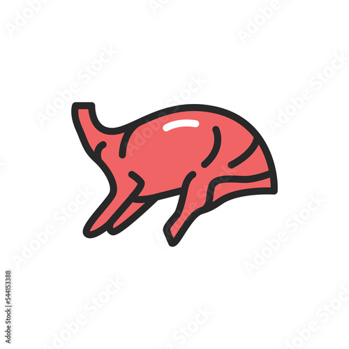 Lamb carcass color line icon. Pictogram for web page, mobile app, promo.