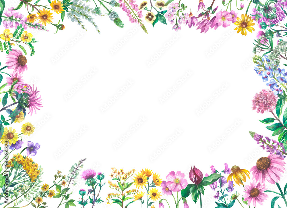Horizontal frame with wildflowers