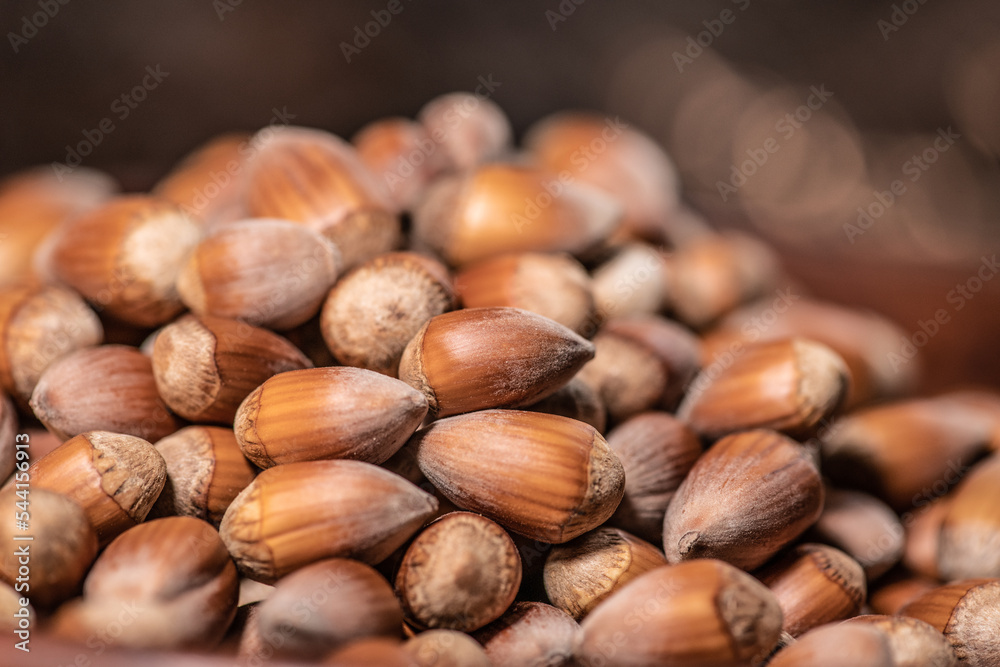 Close up on a pile of hazelnuts with a beautiful depth of field