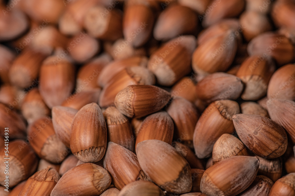Close up on a pile of Hazelnuts with beautiful depth of field Close up on a pile of Hazelnuts with beautiful depth of field