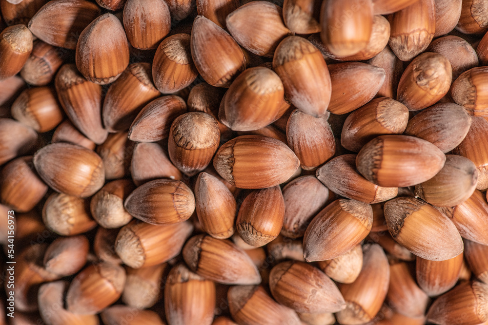 Close up on a pile of Hazelnuts Close up on a pile of Hazelnuts