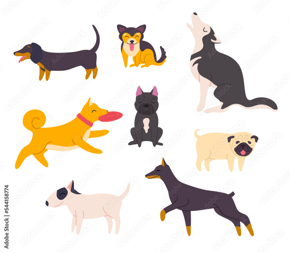 Cartoon Color Different Cute Dogs Set Flat Design Style Include of Dachshund, Bulldog and Husky. Vector illustration