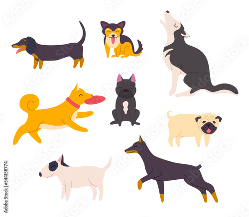 Cartoon Color Different Cute Dogs Set Flat Design Style Include of Dachshund  Bulldog and Husky. Vector illustration