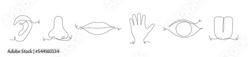 Human senses continuous one line icon set. Hand, eye, nose, tongue, lips and ear. People part of body contour. Vector illustration on white.