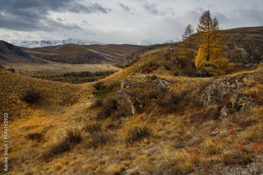 Russia. The South of Western Siberia, the Altai Mountains. The beginning of autumn in the picturesque rocky hills in the Kurai steppe along the Chui tract.