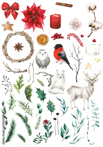 Fotografia Watercolor isolated candy, gingerbread,  branch leaves, red berries, holly leaf, cinnamon, fir tree, bow, wreath, raindeer, white owl, bullfinch