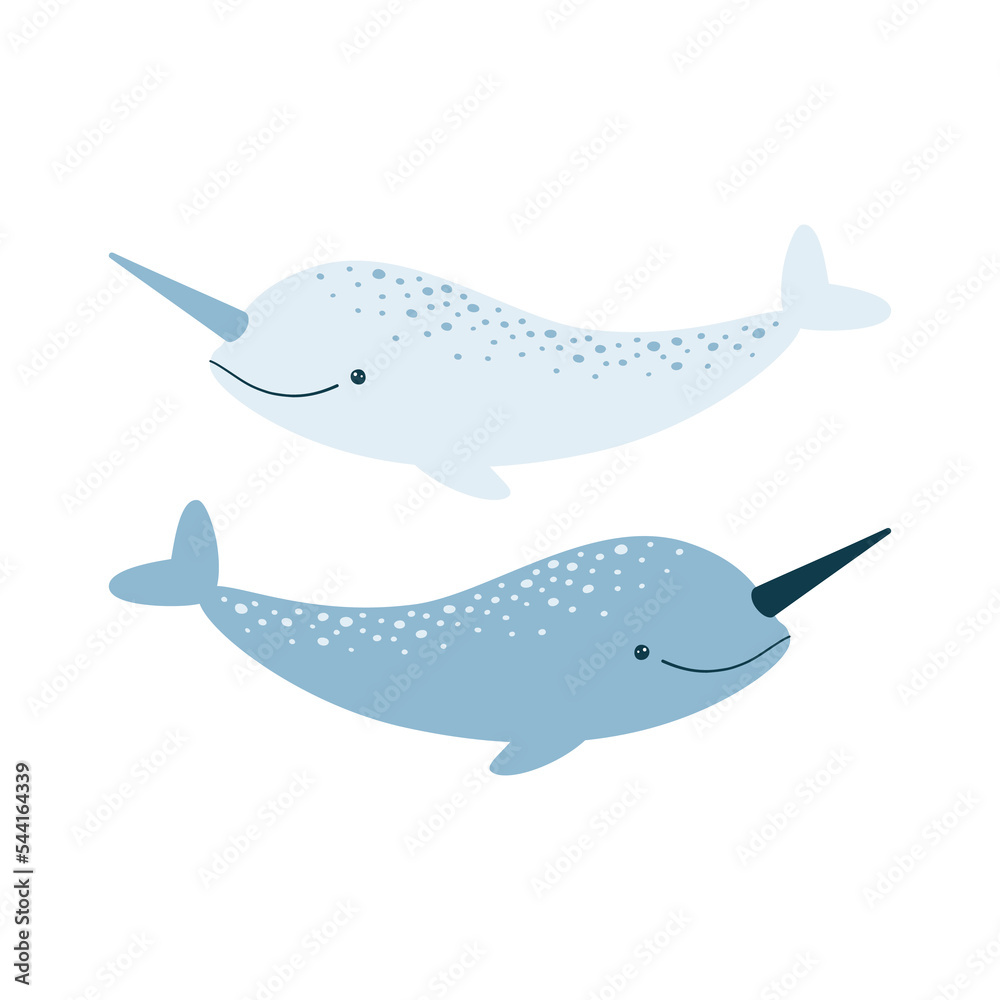 Vector illustration of cute narwhals