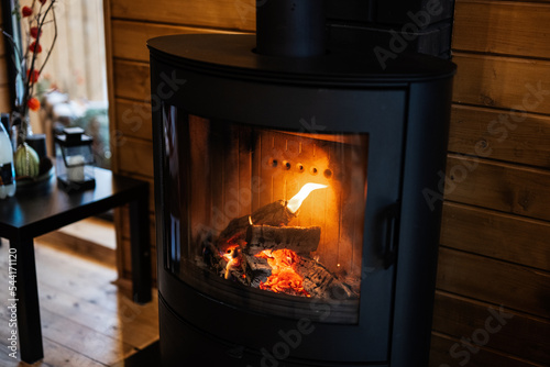 Burning wood in a modern black fireplace with a closed combustion chamber standing in the living room.