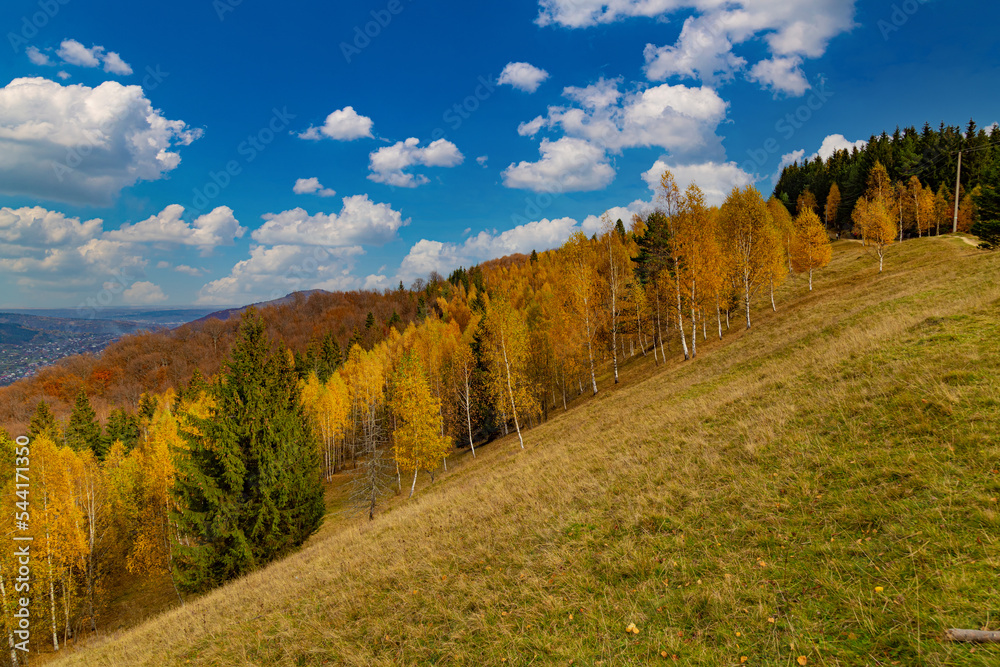 Colorful autumn in the Carpathian mountains.