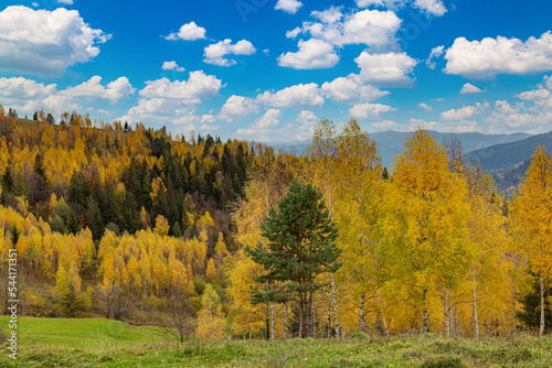 Colorful autumn in the Carpathian mountains.