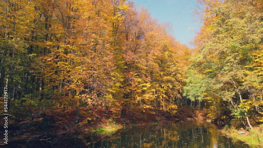 flying over lake in autumn forest flying over lake in autumn forest