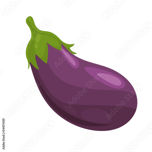 Purple eggplant, vector