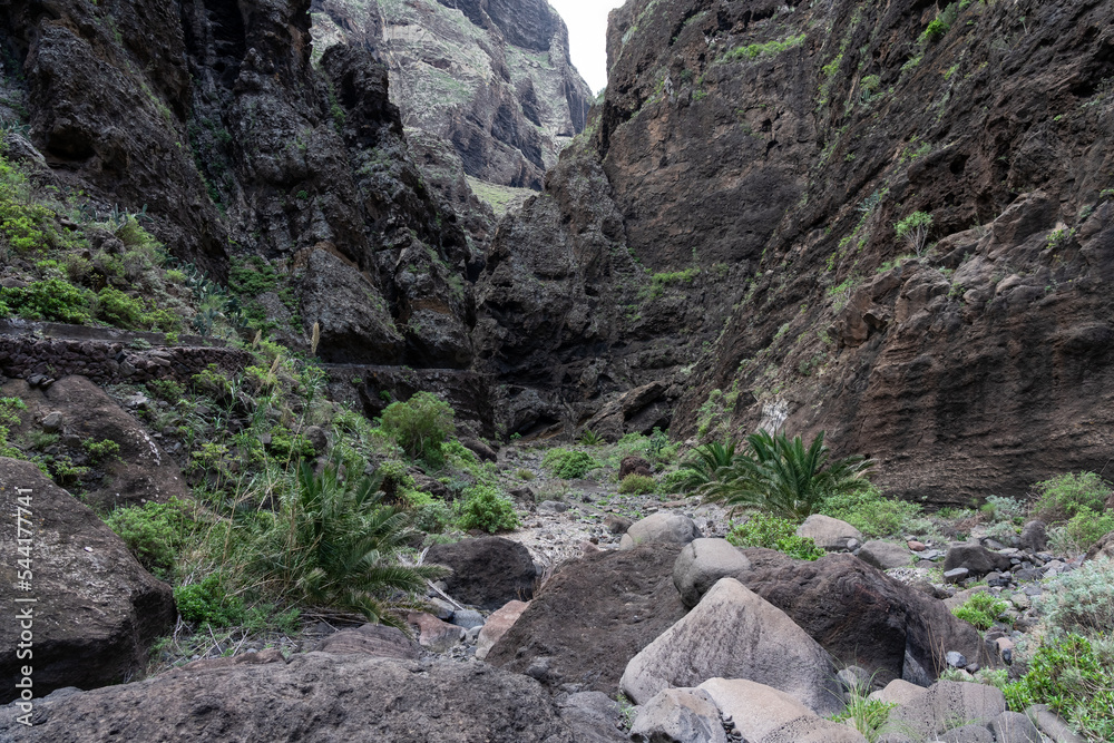 Landscape of Masca gorge. Tenerife. Canary Islands. Spain. Landscape of Masca gorge. Tenerife. Canary Islands. Spain.
